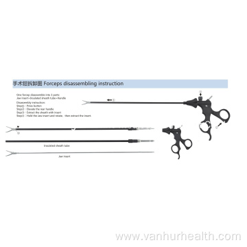 Teeth with Horizontal Serration Forceps